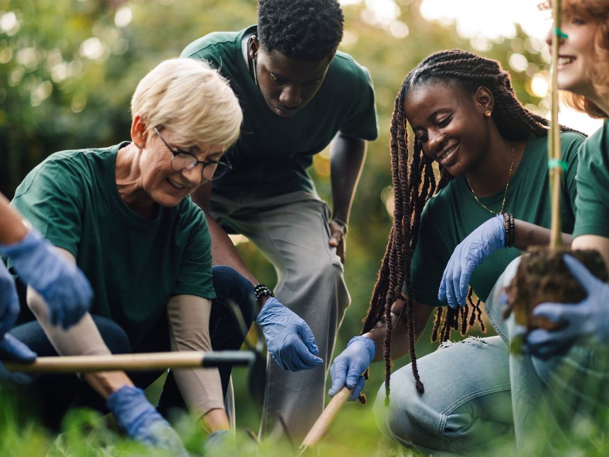 A group of volunteers planting trees together in a park