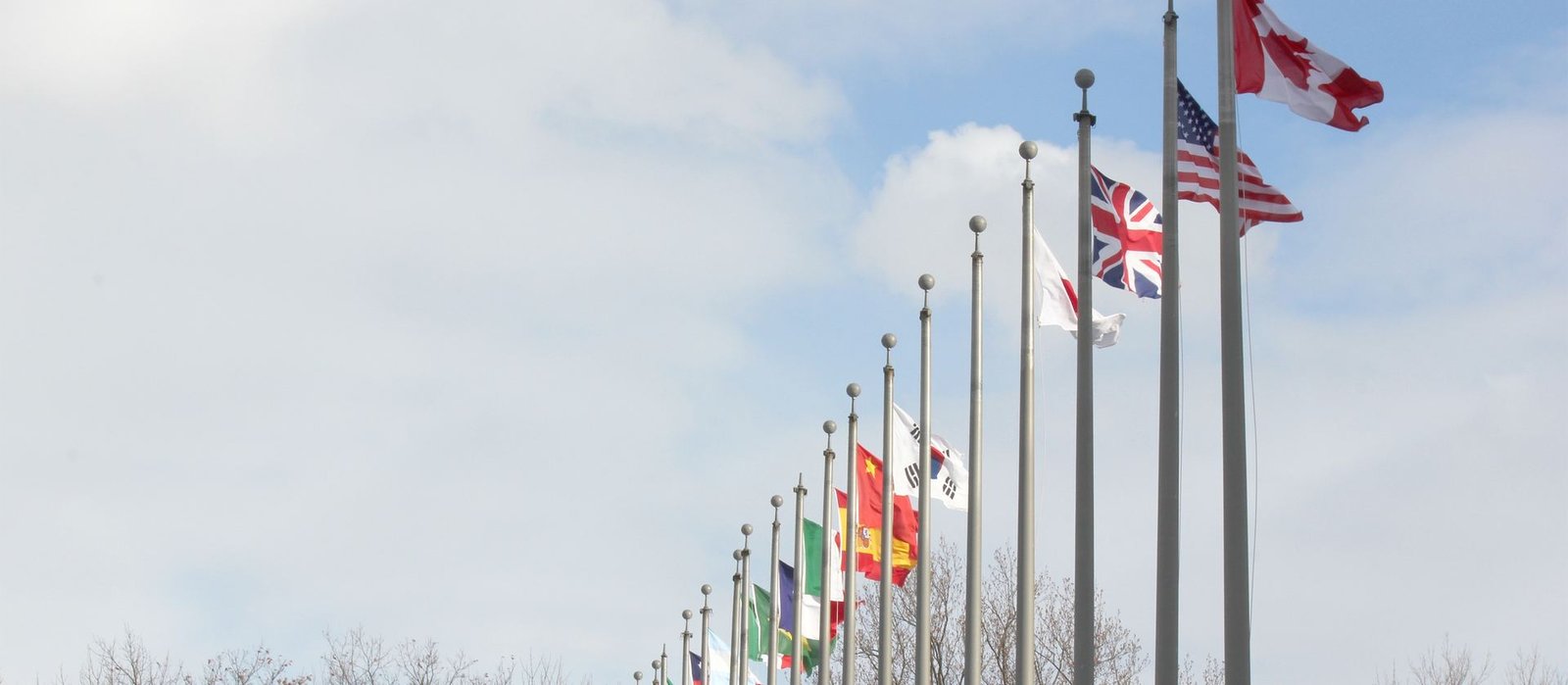 Flags of many countries flying high, representing international cooperation